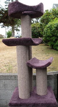 K cat tower with custom purple carpeting